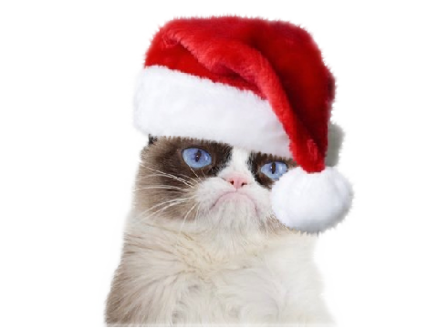 Xmas Gift Guide